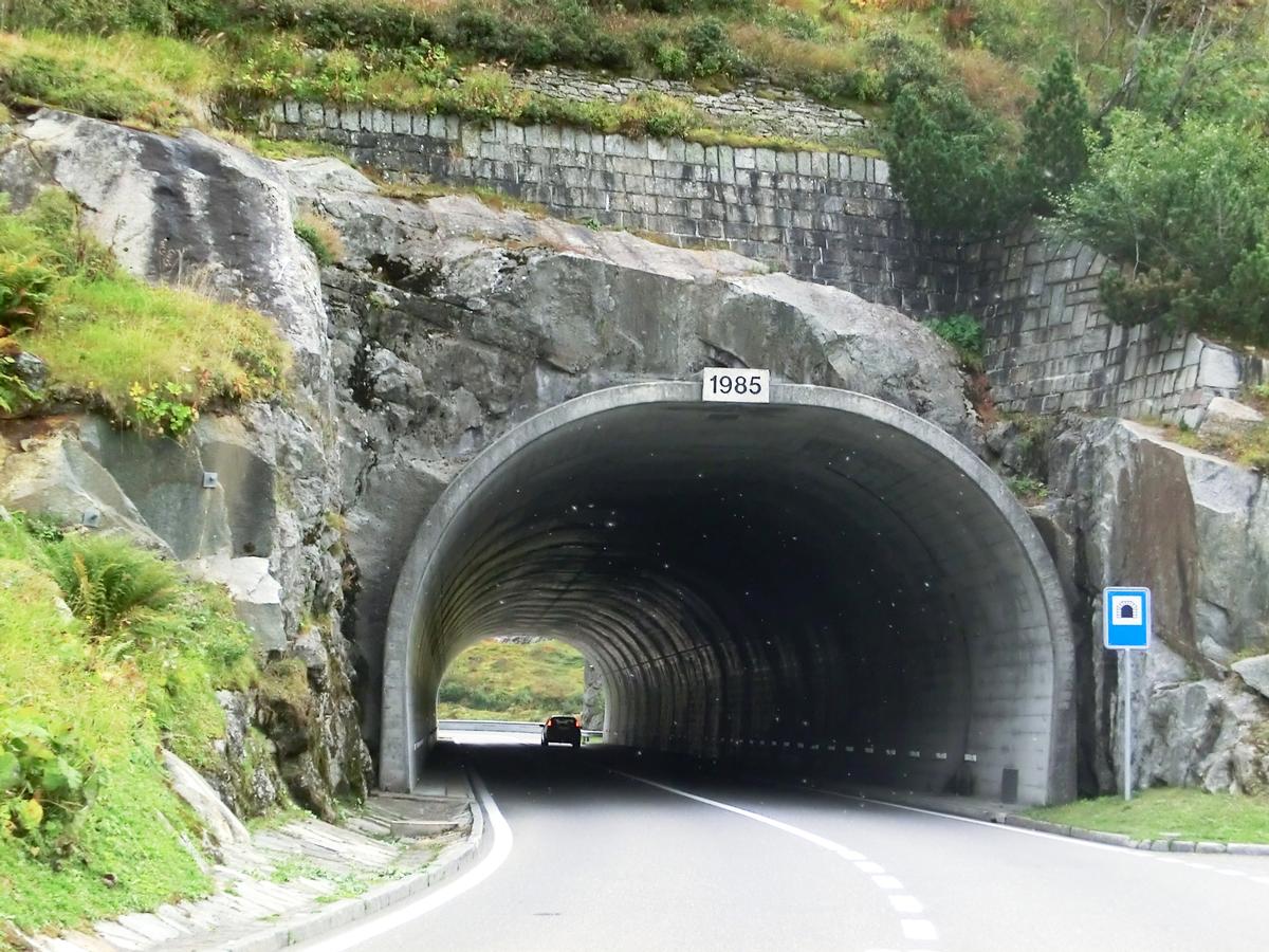 Sommeregg Tunnel northern portal 