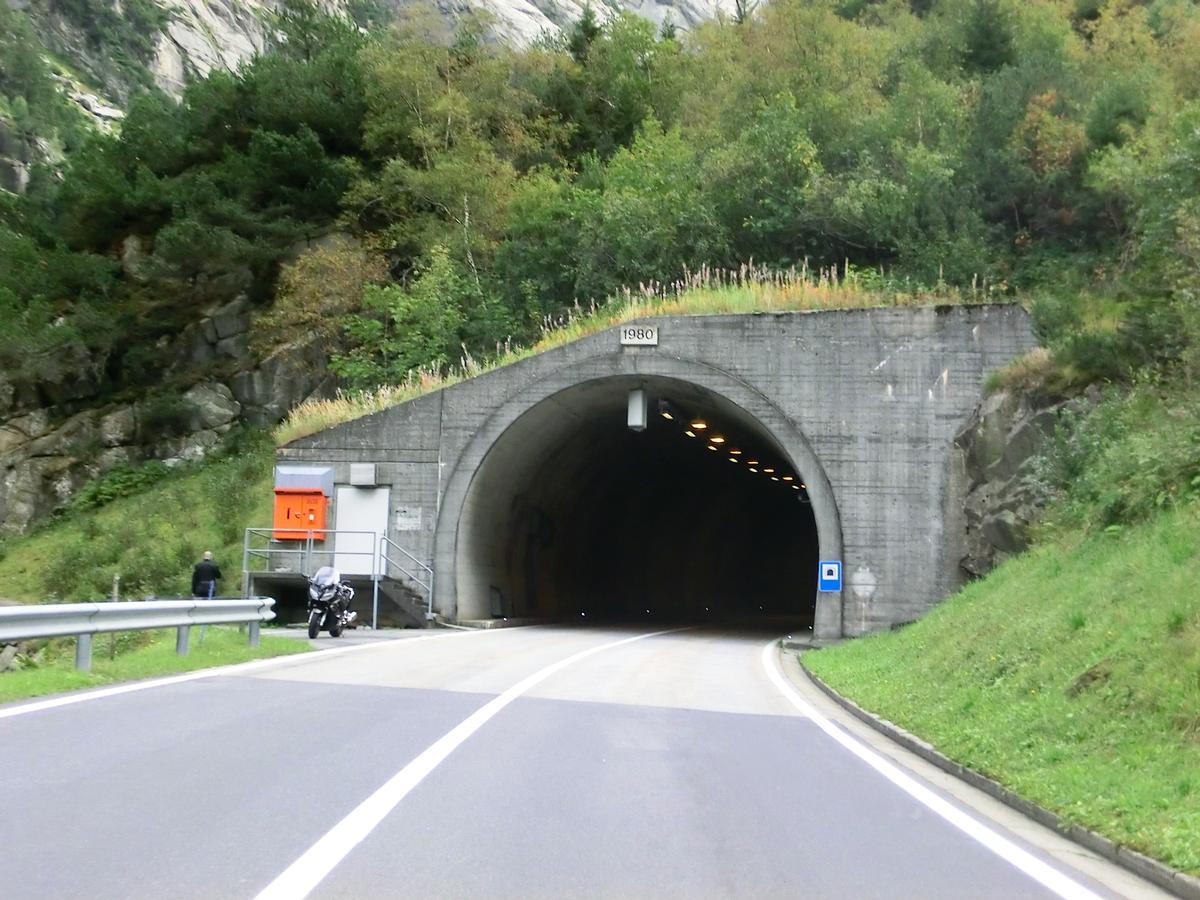 Tunnel Staubenden 