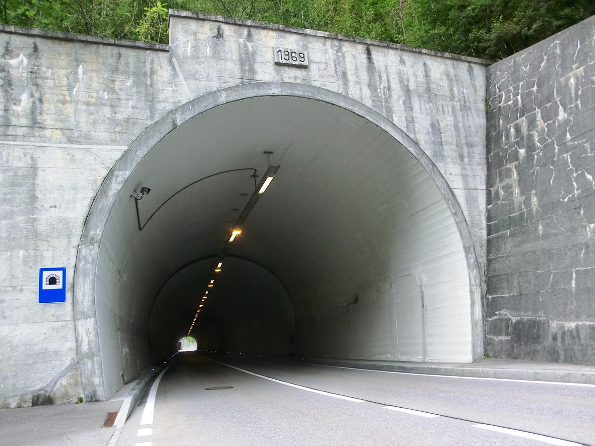 Tonende Fluh Tunnel eastern portal 