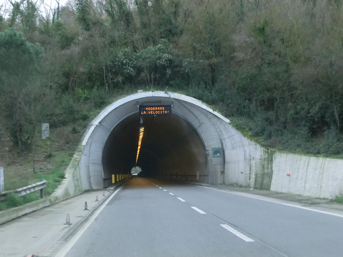 Vallombrosina Tunnel northern portal 