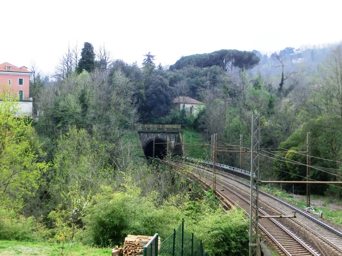 Bacigalupo Tunnel northern portal 