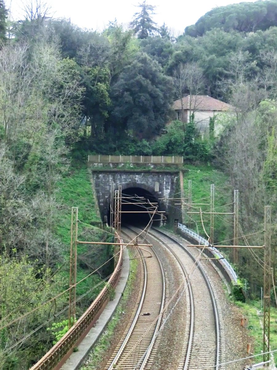 Bacigalupo Tunnel northern portal 