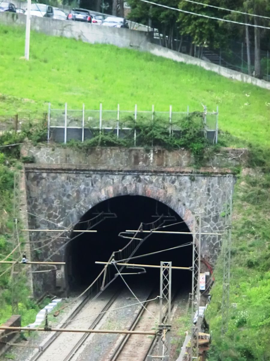 Bacigalupo Tunnel southern portal 