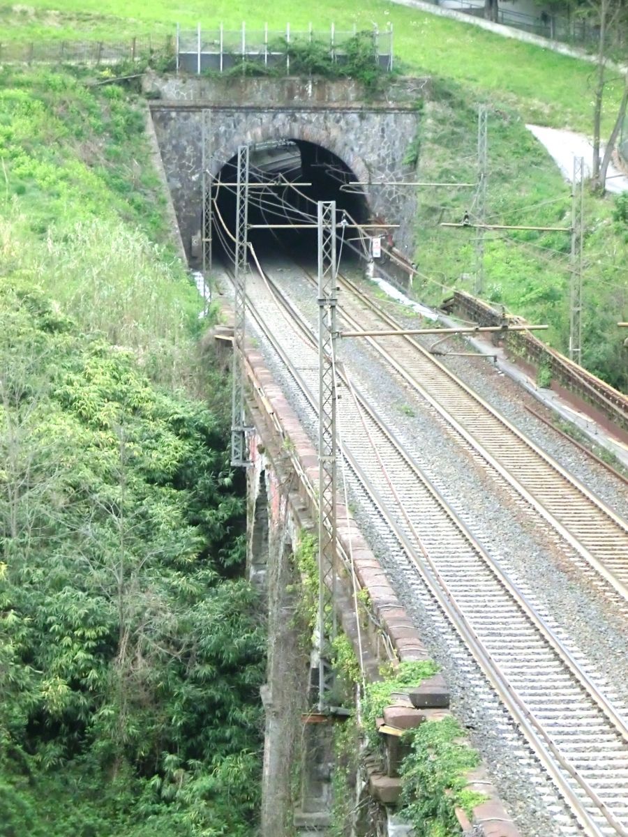 Bacigalupo Tunnel southern portal 