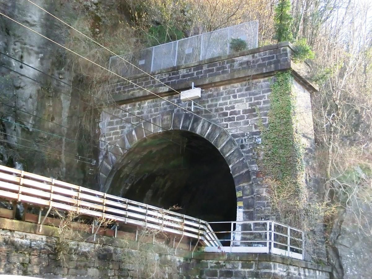 Beura Tunnel northern portal 