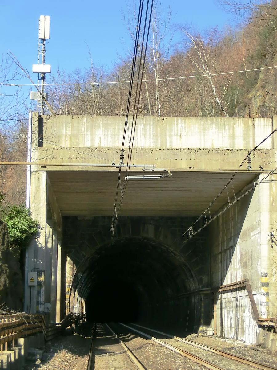 Beura Tunnel southern portal 