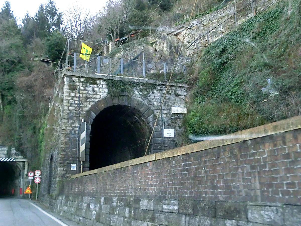 Biosio Tunnel southern portal 