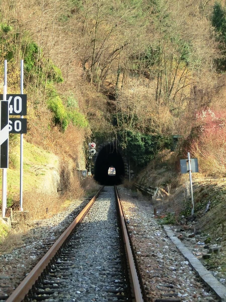 Borgosesia Tunnel northern portal 
