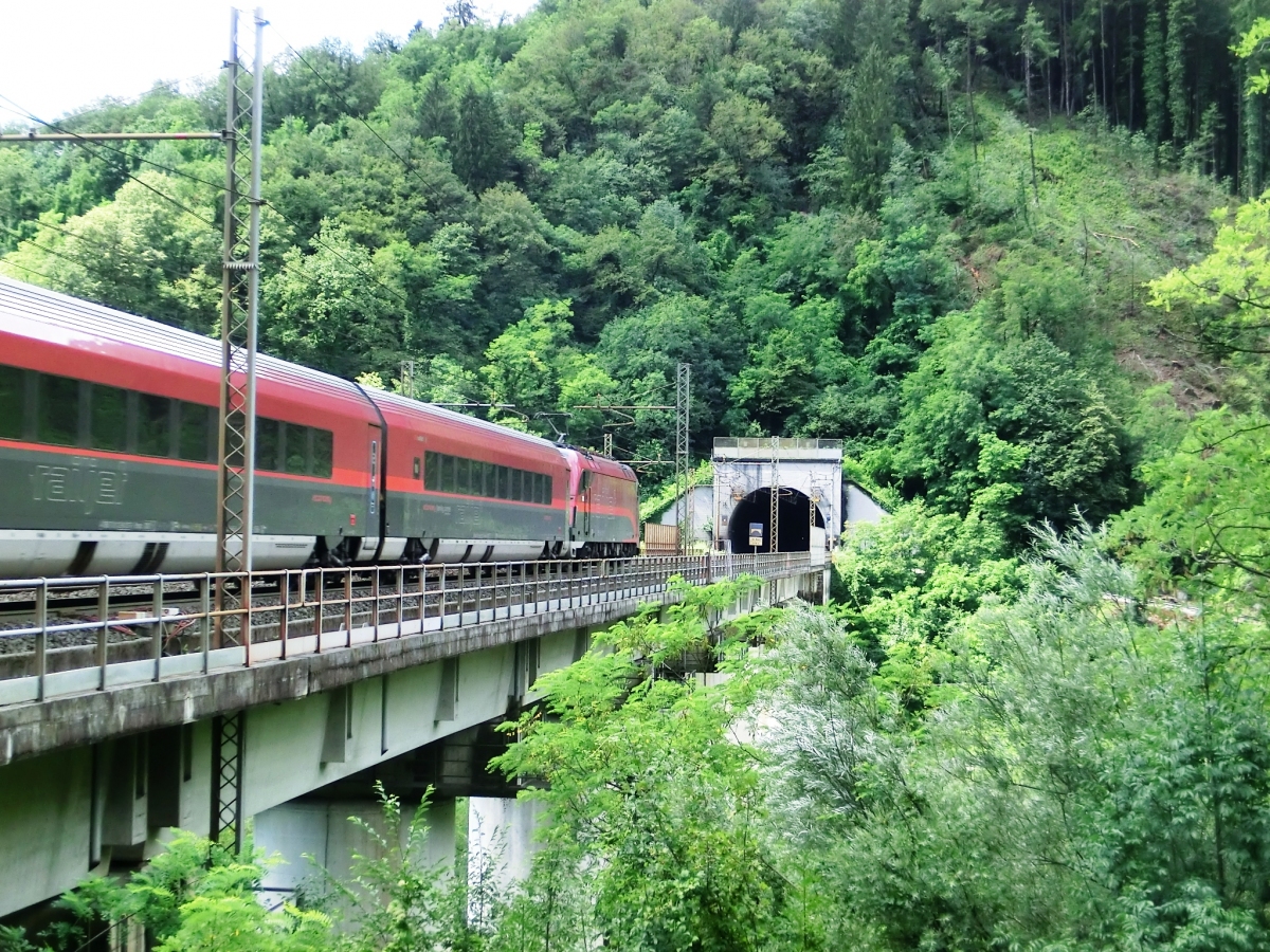 Val Aupa Viaduct and Campiolo-Monte Palis Tunnel eastern portal 
