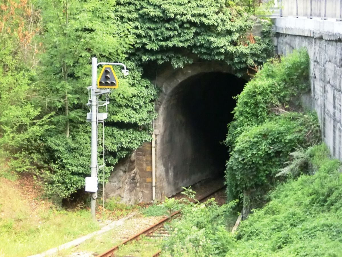 Champrotard Tunnel western portal 