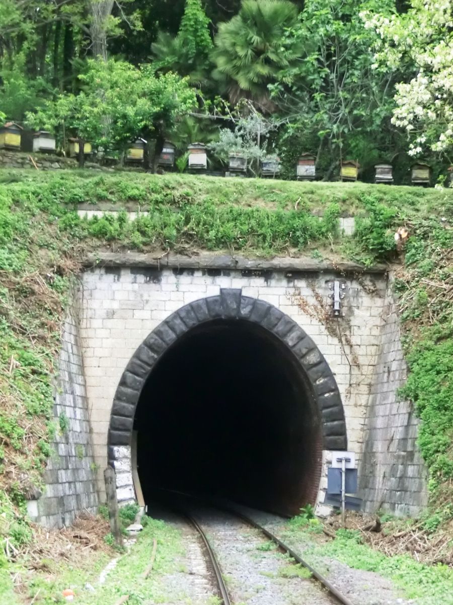 Tunnel de Citro 