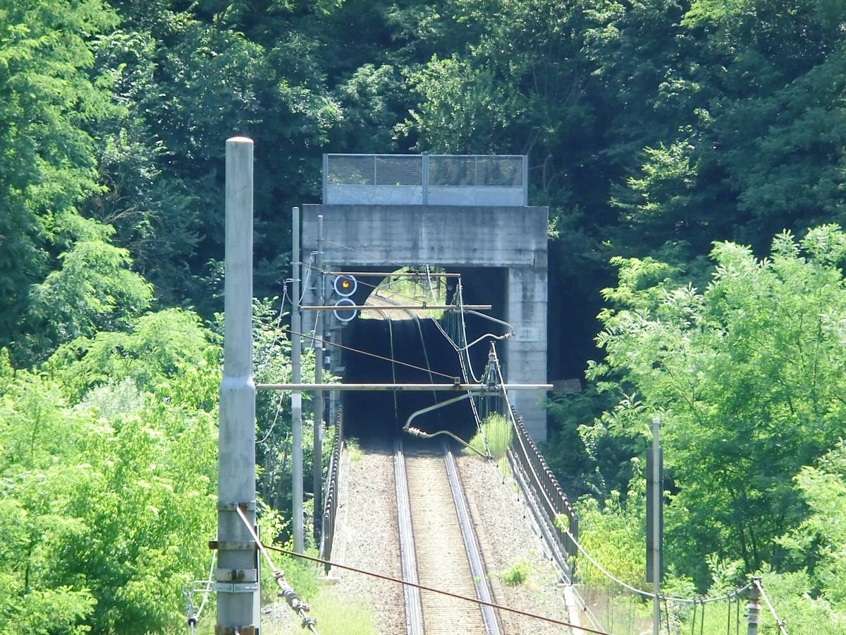 Coda Tunnel northern portal 