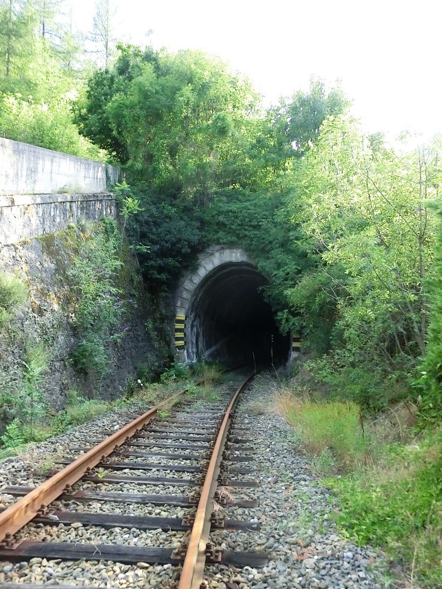 Col du Mont Tunnel eastern portal 