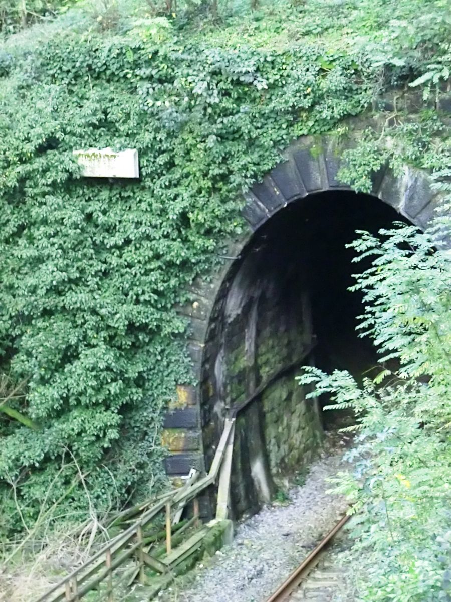 Coli Tunnel western portal 