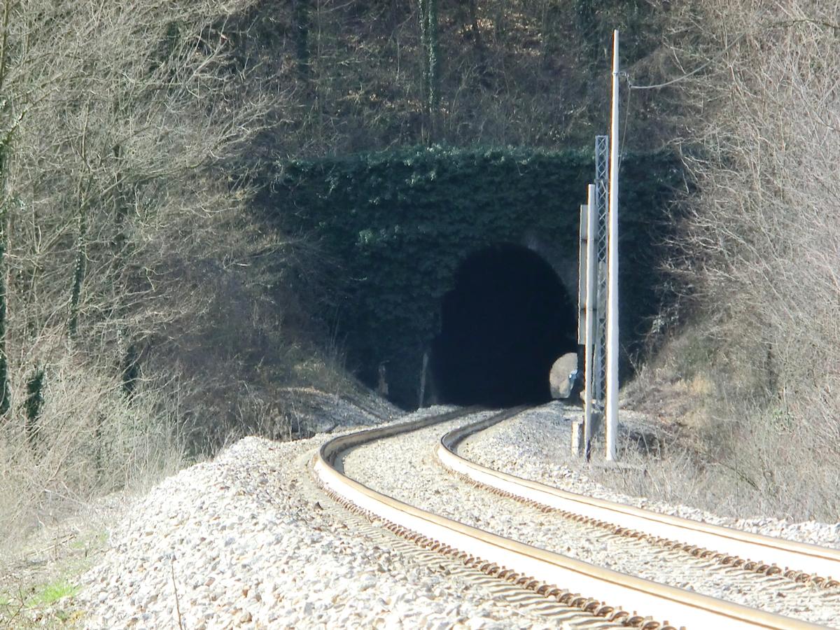 Tunnel Colle del Terro 