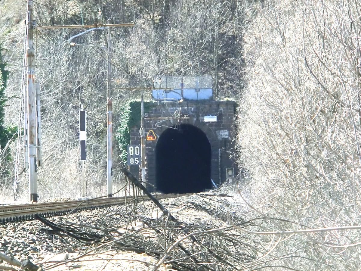 Colmo di Dazio Tunnel northern portal 