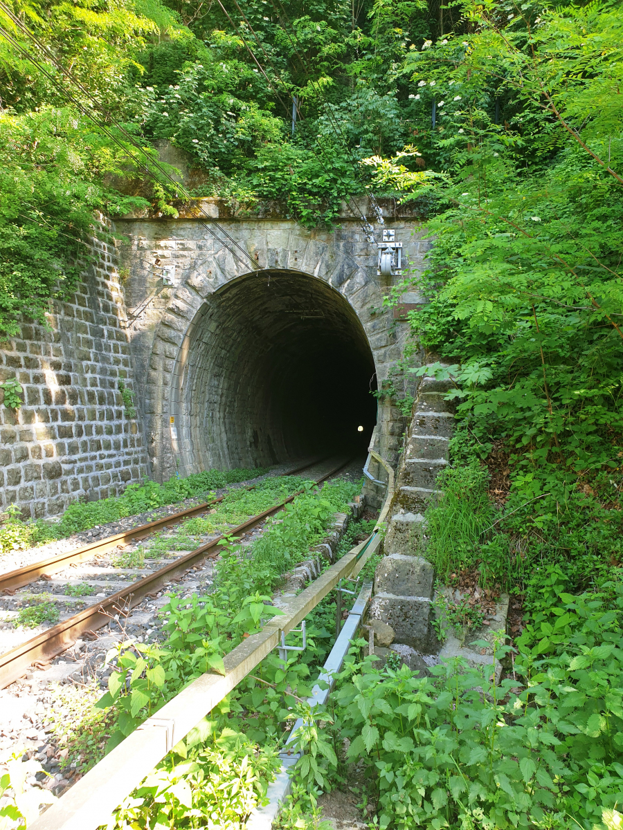 Cologna Tunnel northern portal 