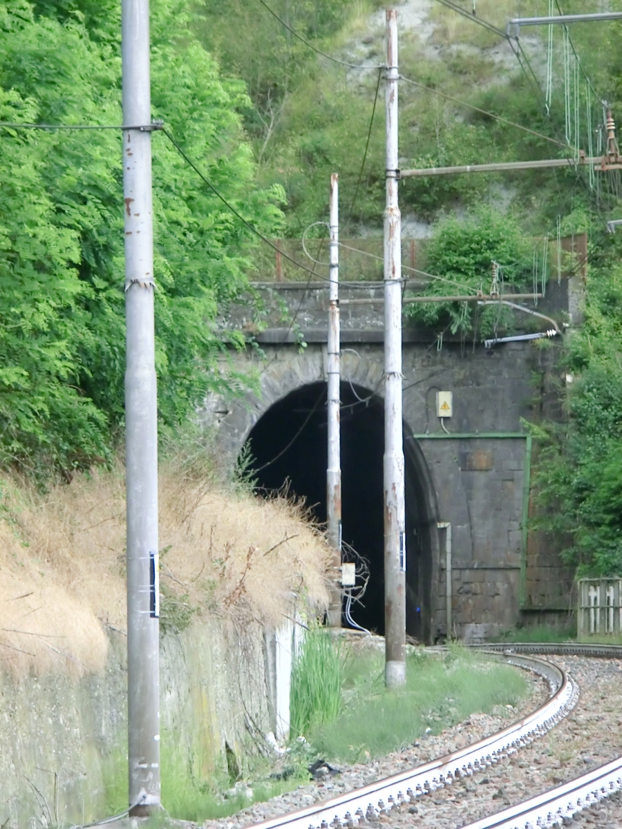 Cosseria Tunnel northern portal 