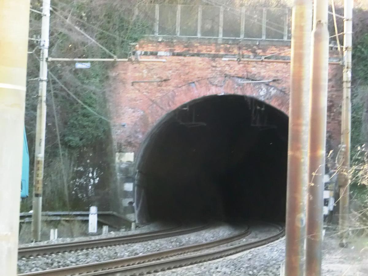 Croce Tunnel eastern portal 