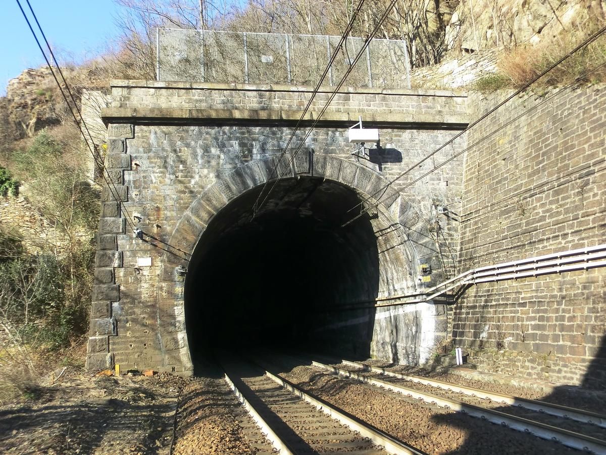 Della Masone Tunnel southern portal 