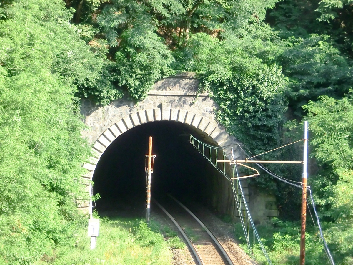 Del Paese Tunnel northern portal 