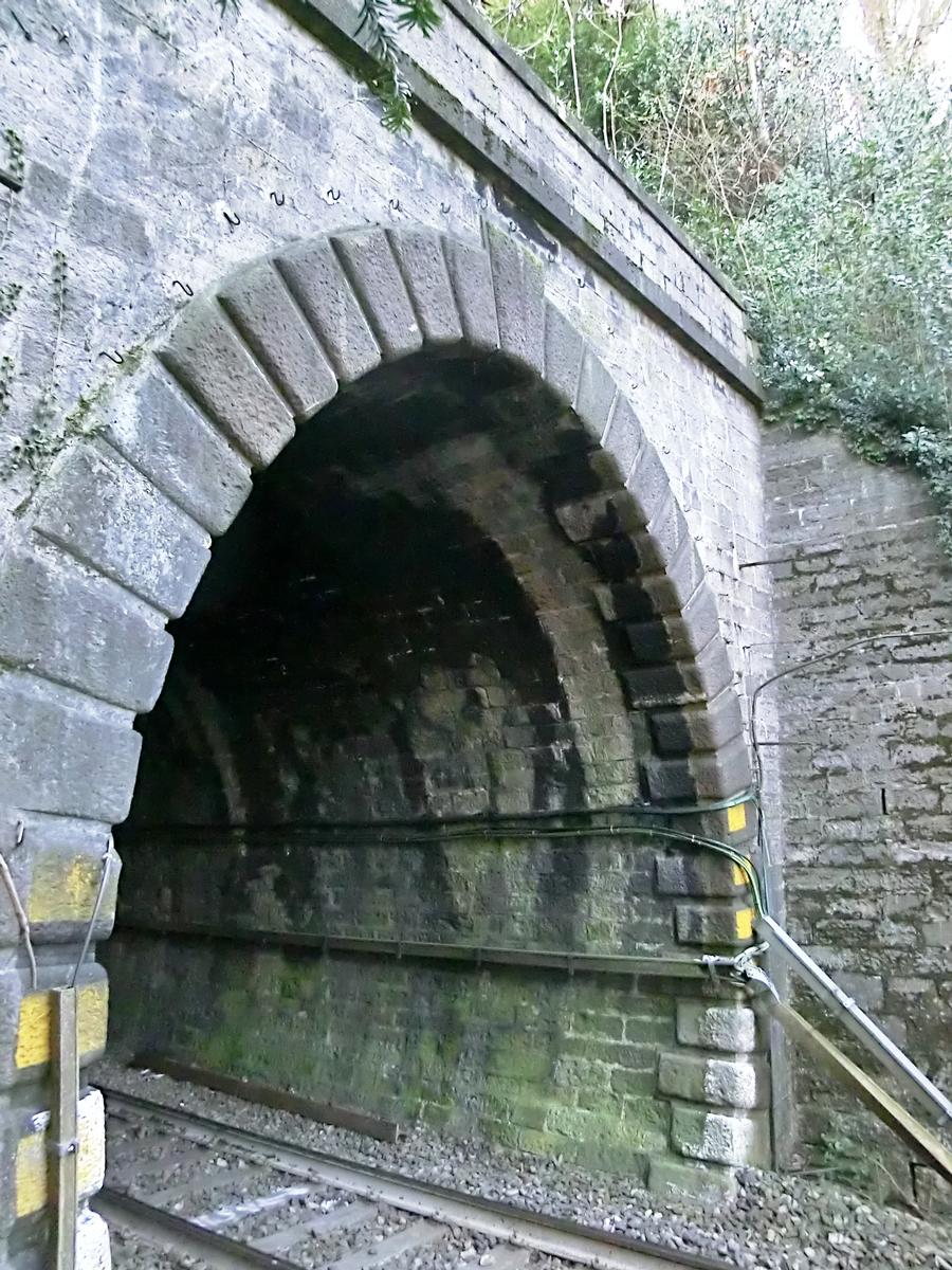 Del Porto Tunnel western portal 