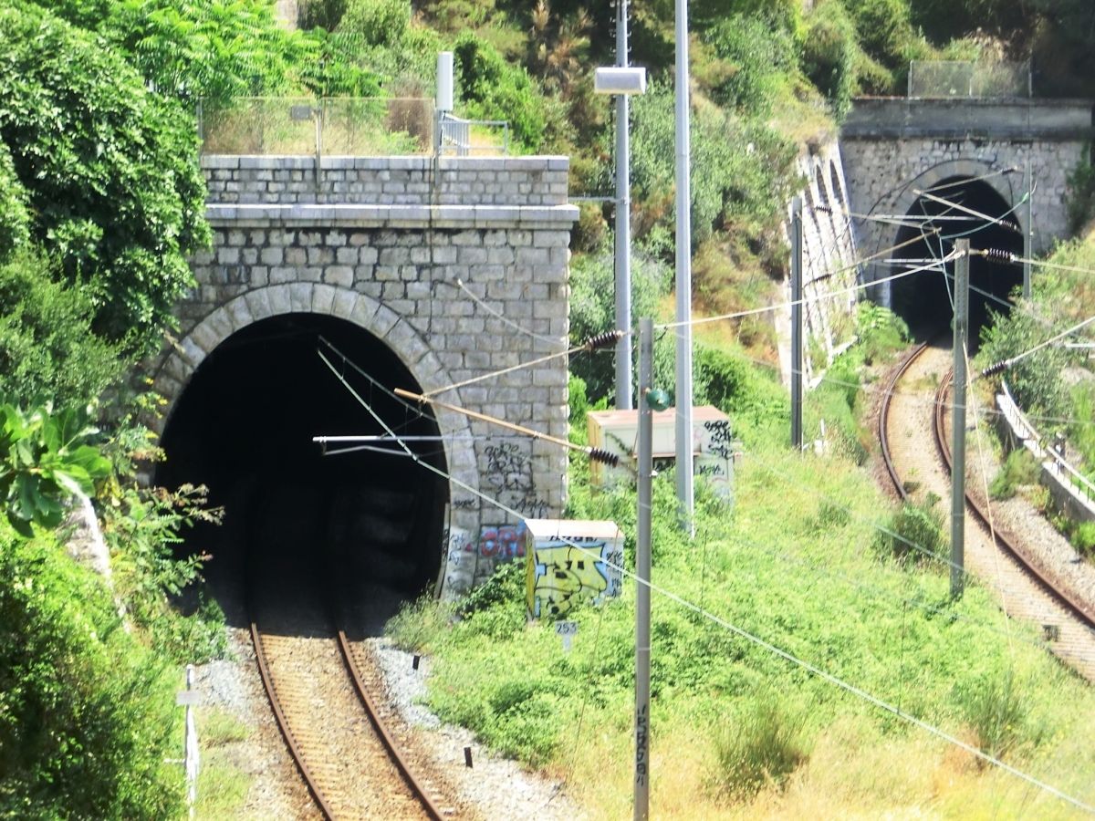 Dogana North Tunnel (on the left) and Dogana South Tunnel western portals 