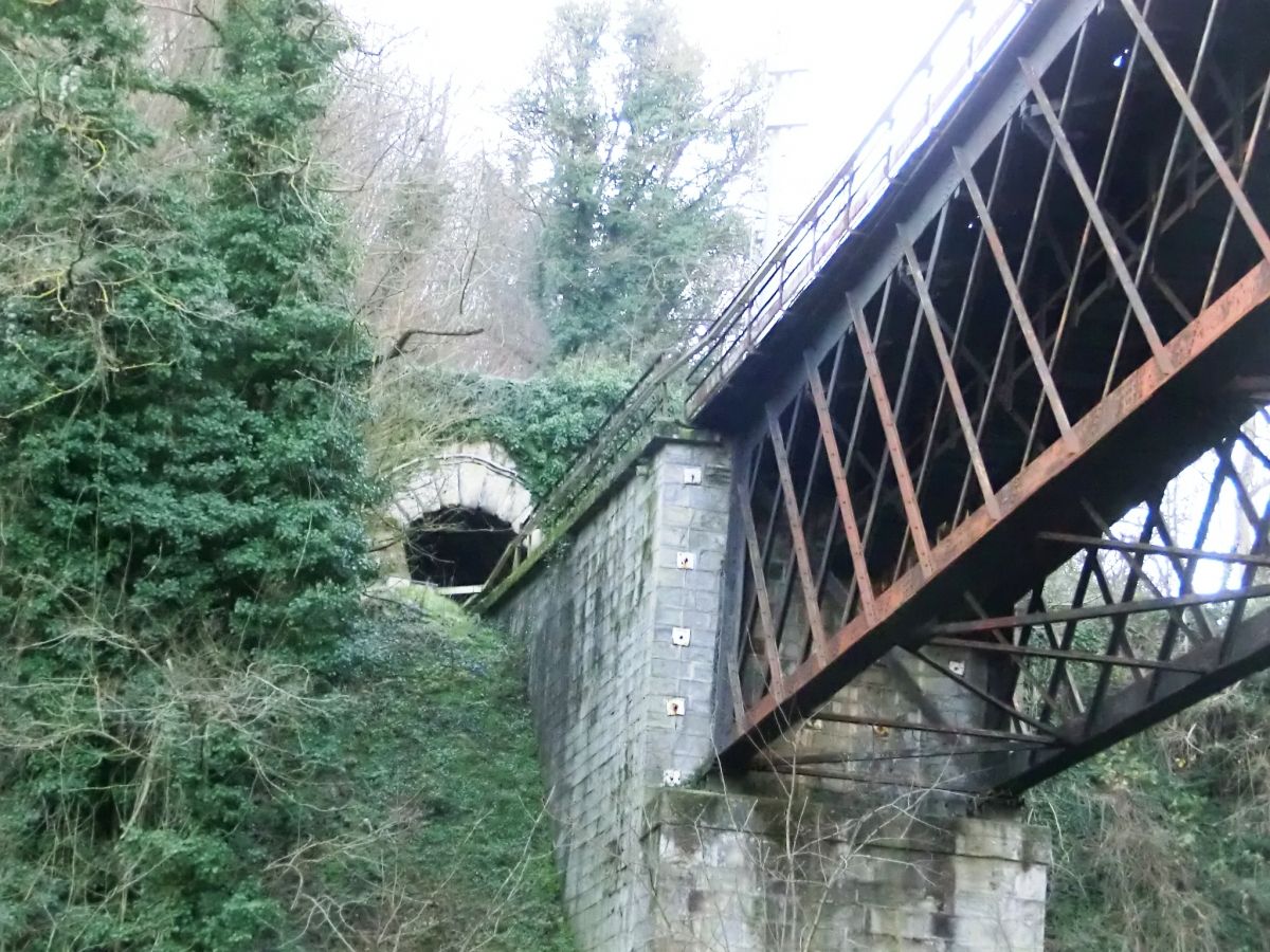 Lamone V Bridge and Fantino Tunnel northern portal 