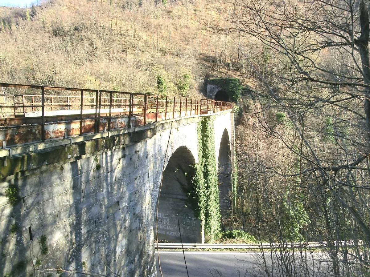 Lamone IV Bridge and Fantino Tunnel southern portal 