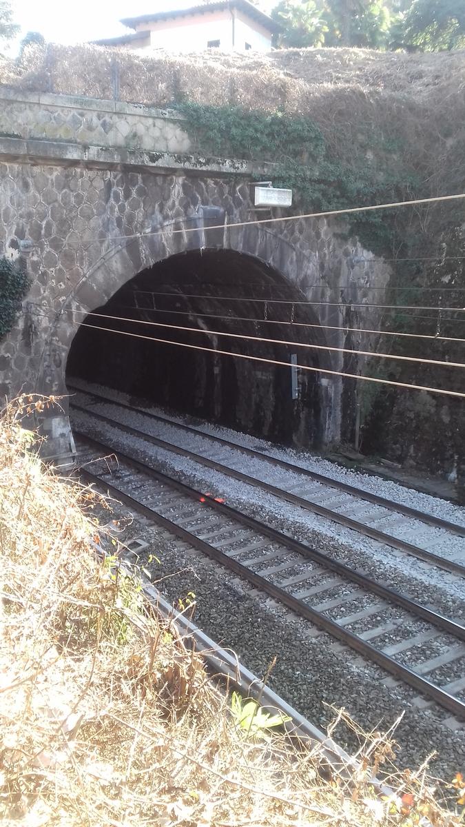 Tunnel de Faraggiana 