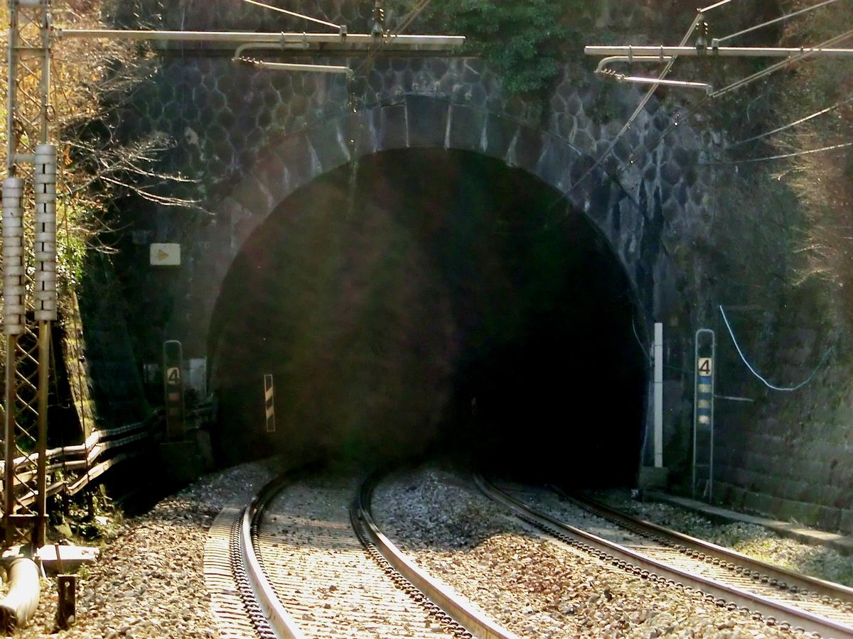 Faraggiana Tunnel northern portal 