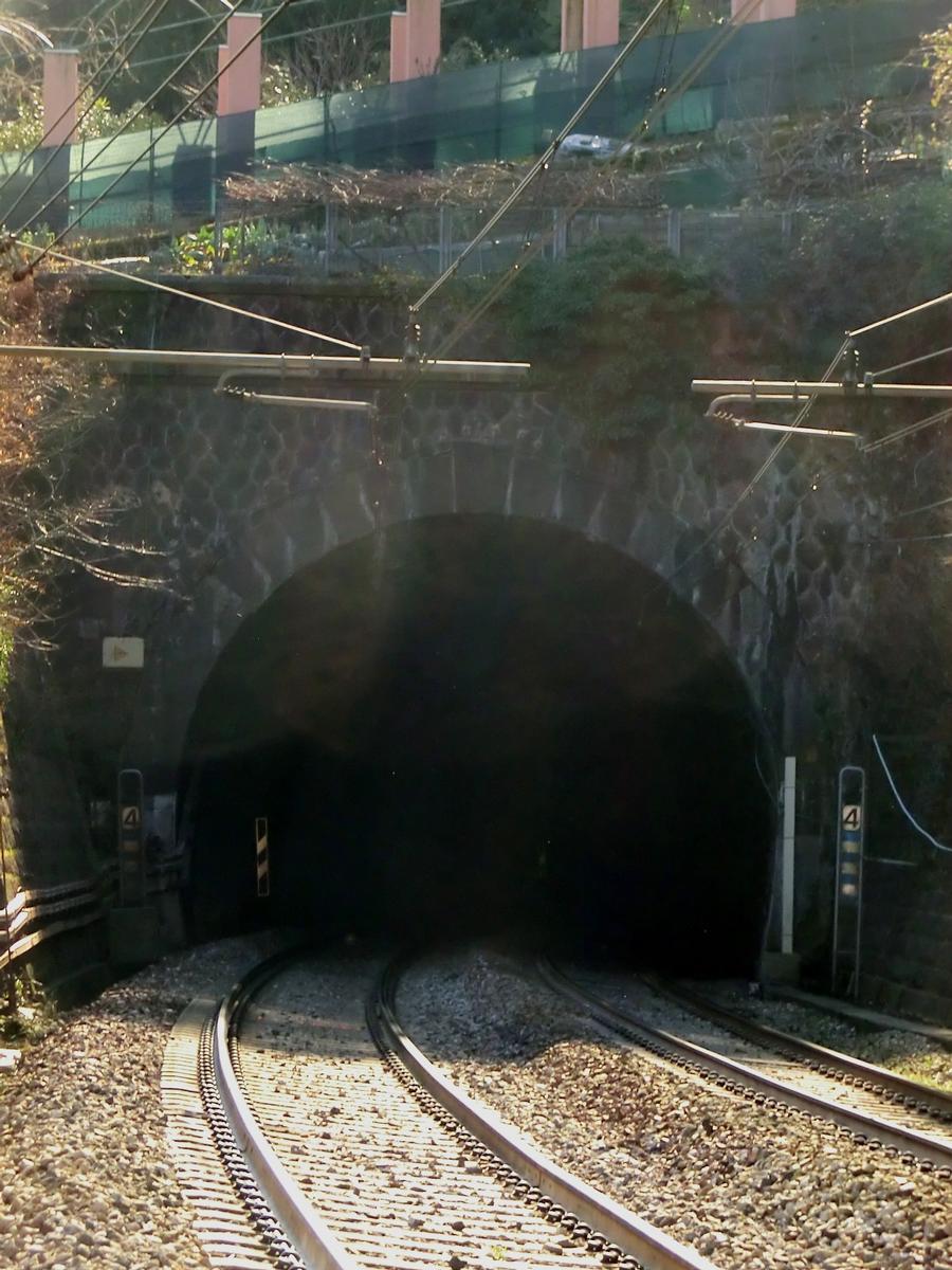 Faraggiana Tunnel northern portal 