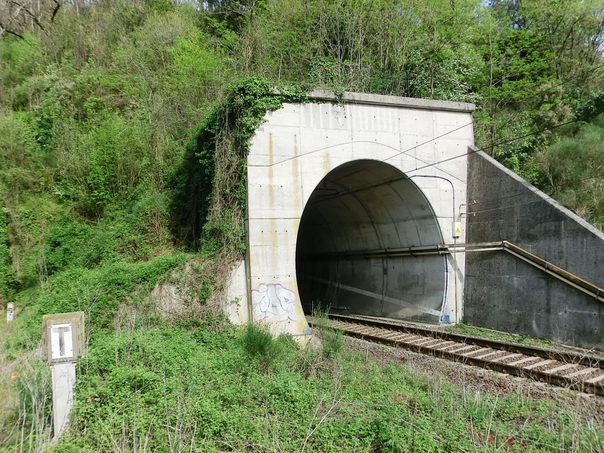 Fornola 2 South Tunnel western portal 
