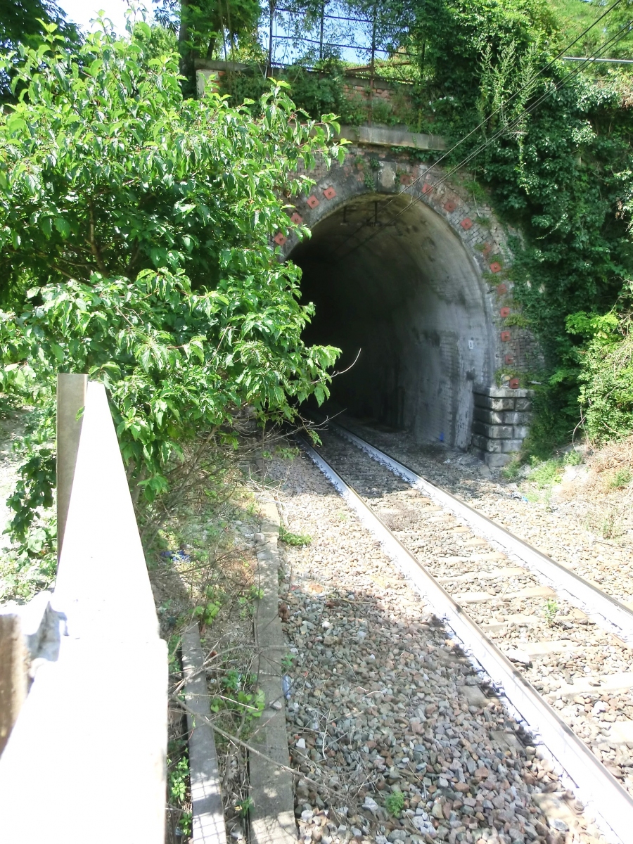 Forte Tunnel southern portal 