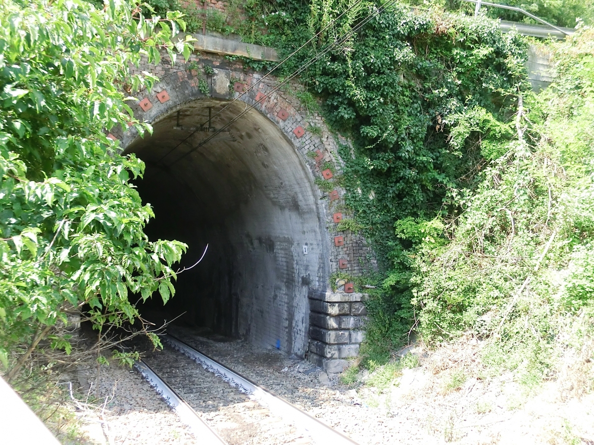 Forte Tunnel southern portal 