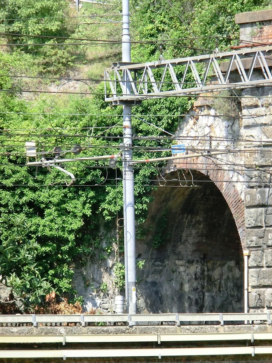 Giacoboni Tunnel southern portal 