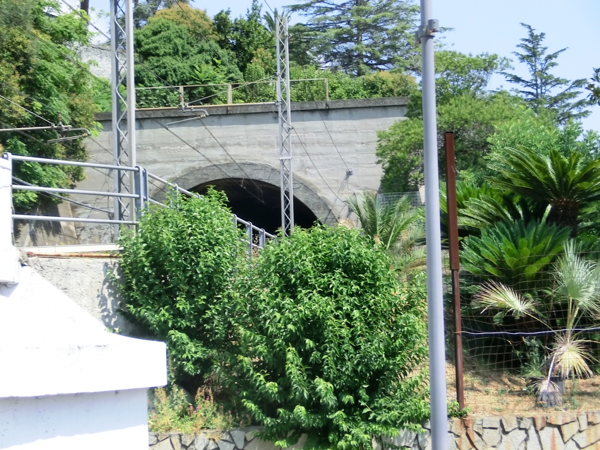Larestra Tunnel western portal 