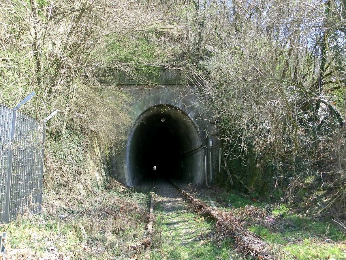 Lauriano Tunnel western portal 