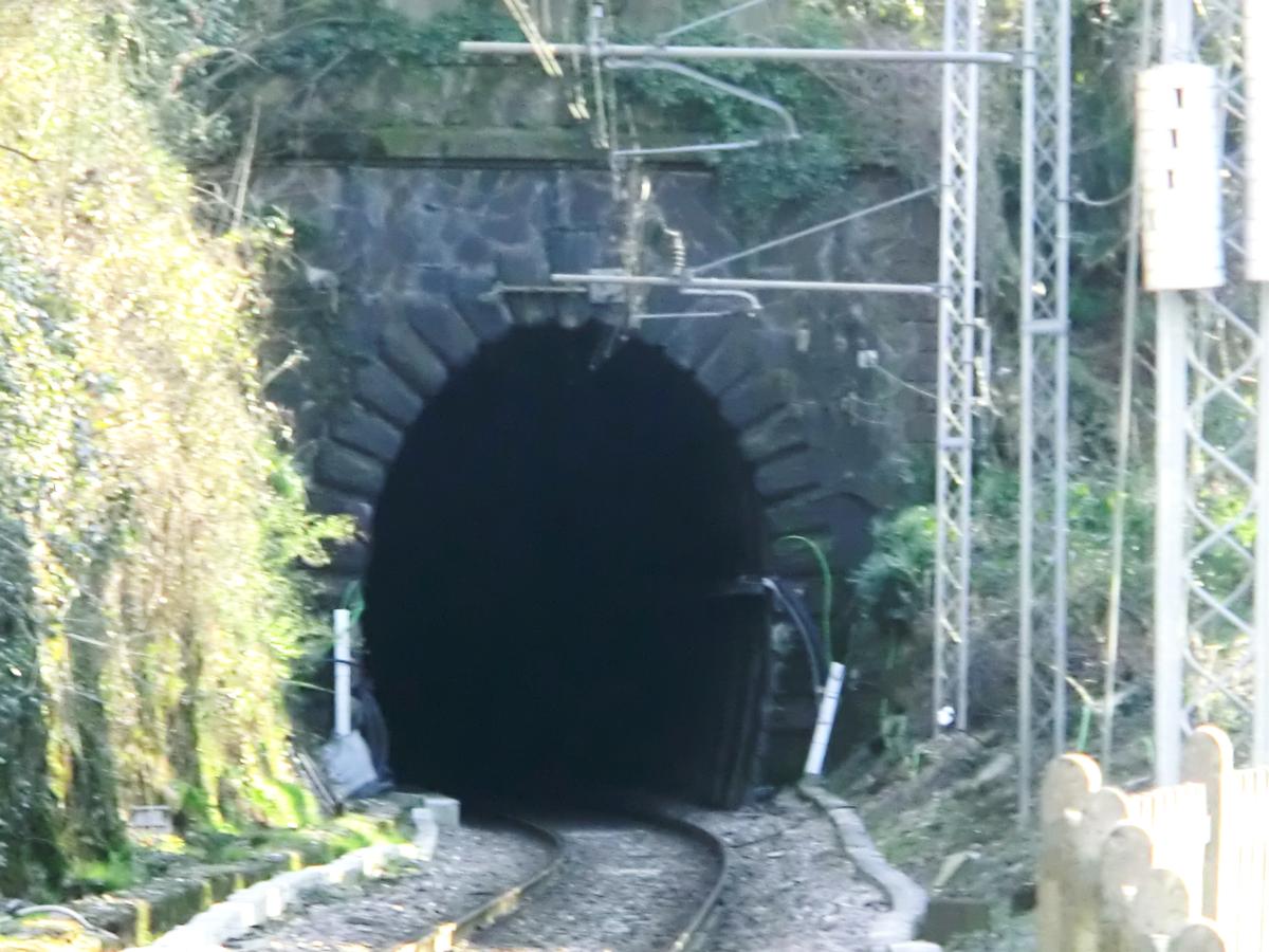 Luino Tunnel northern portal 