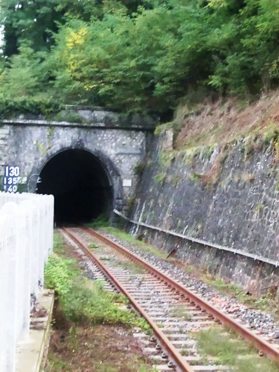 Lupacino Tunnel eastern portal 
