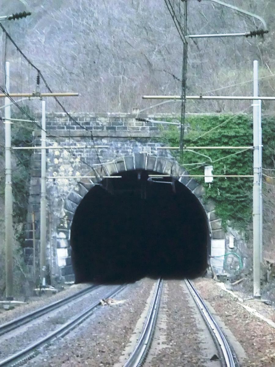 Tunnel Mognatta 