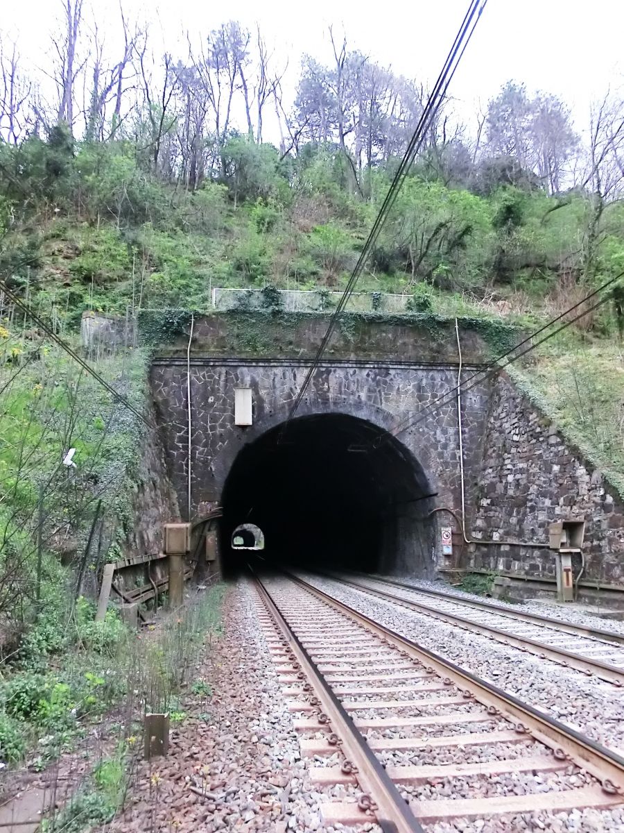 Pareto Tunnel northern portal 
