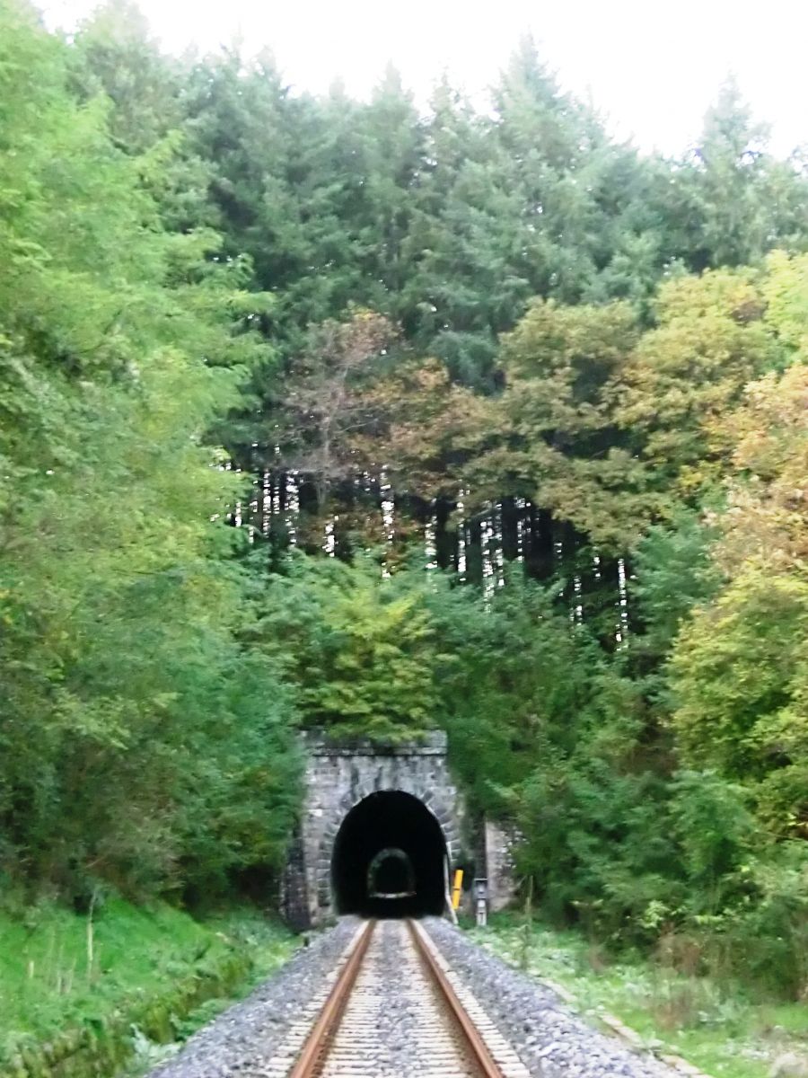 Piantaia Tunnel southern portal 