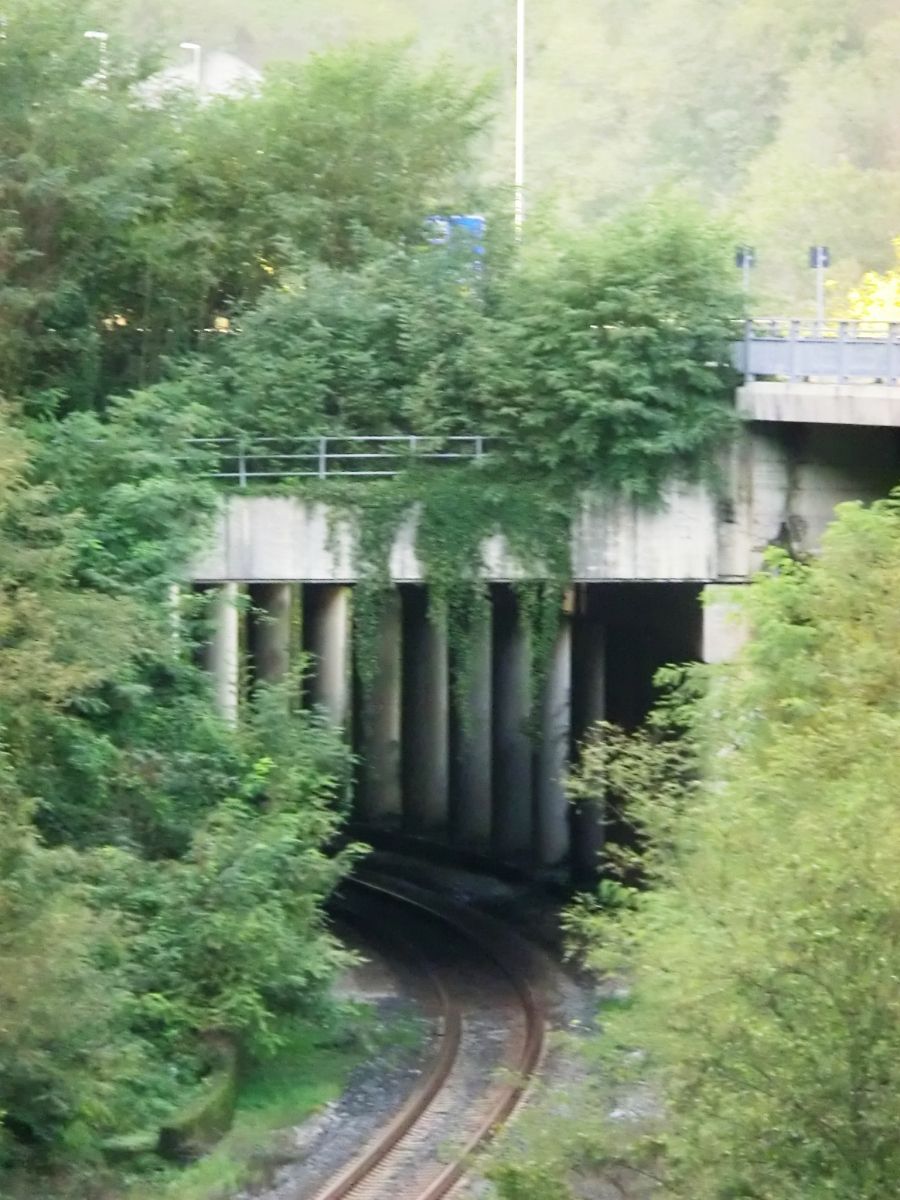 Rotatoria SR445 Tunnel eastern portal 