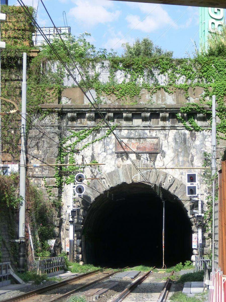 San Lazzaro Bassa Tunnel western portal 