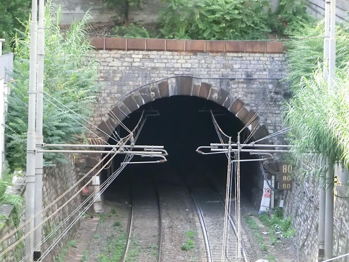 San Martino Tunnel eastern portal 