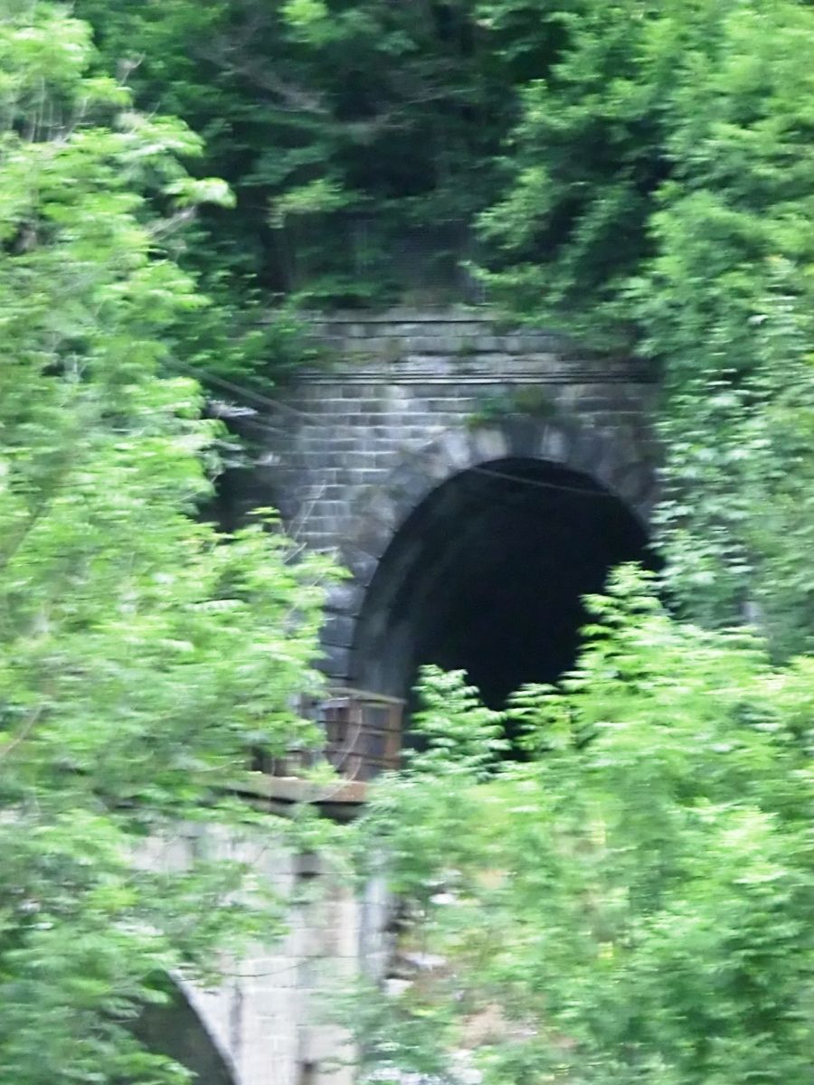 Santa Lucia e Noceto Tunnel northern portal 