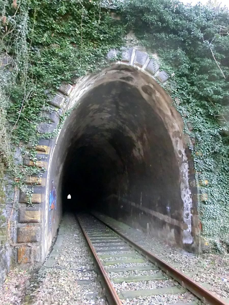 Tunnel Scopelletto 