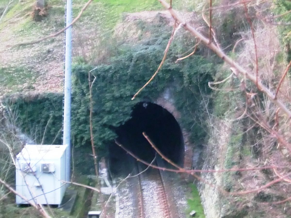 Tunnel Selve 