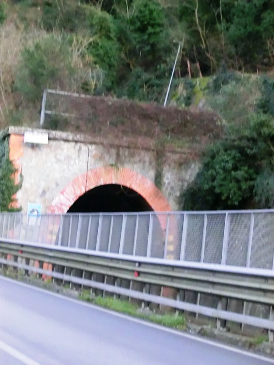 Spiccarello Tunnel southern portal 